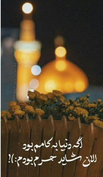  عکس حرم