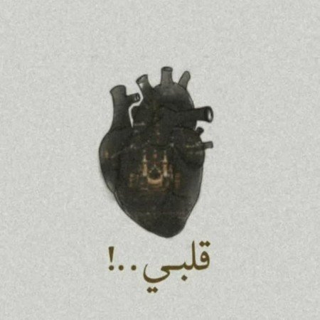  عکس حرم