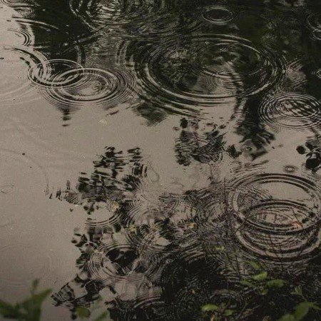 عکس های خام طبیعت