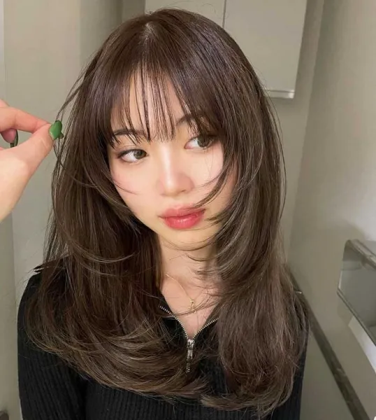  30 عکس چتری پرده ای کره ای