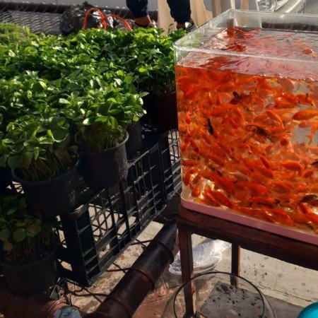  ژست عکاسی دخترانه