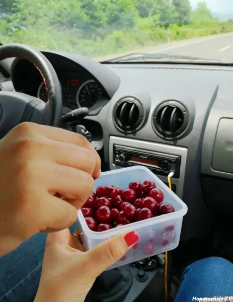  عکس دست دونفره تو ماشین ۲۰۶