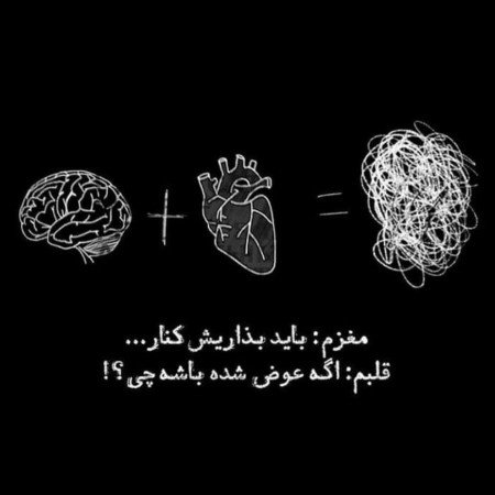  عکس های مغز
