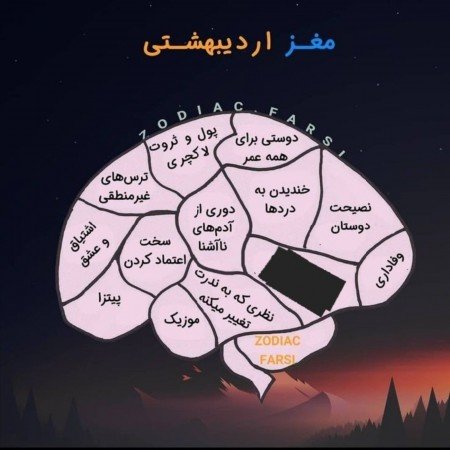  عکس های مغز