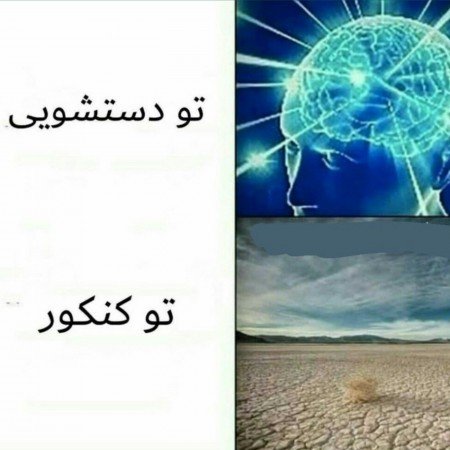  عکس های مغز