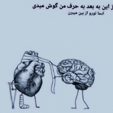  عکس های مغز