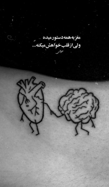  عکس های مغز