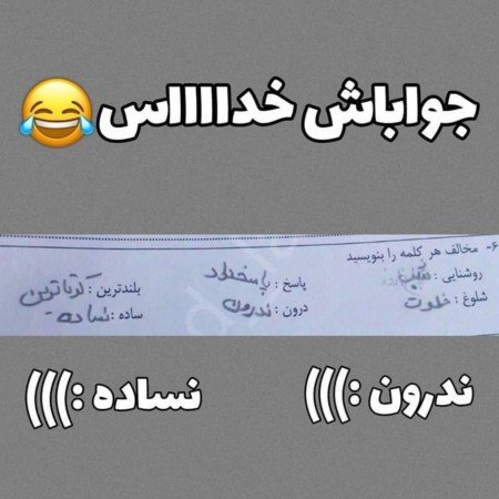  عکس های مغز