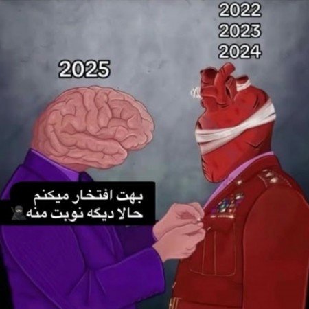 عکس های مغز