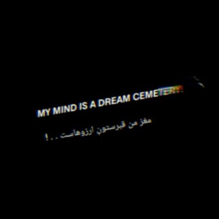  عکس های مغز