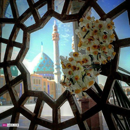  عکس های حضرت رقیه