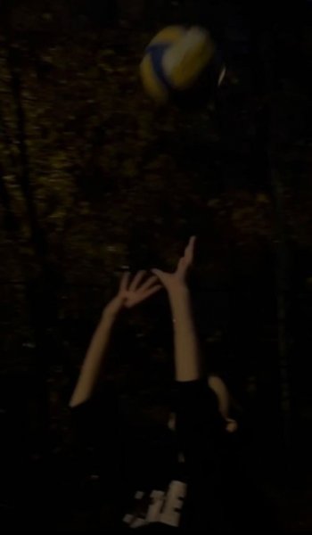  عکس های پروف