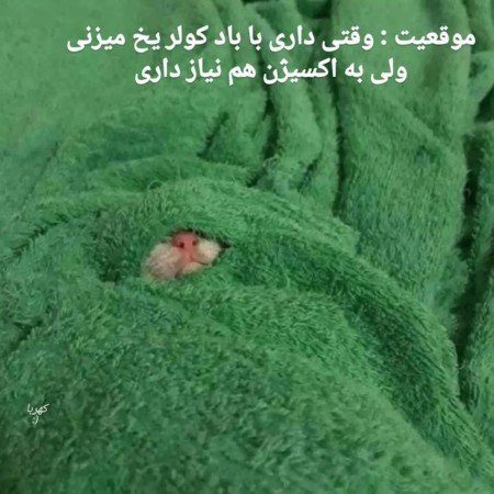  854 عکس نوشته