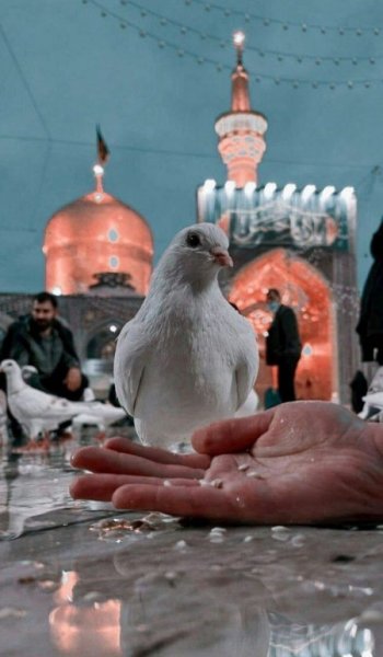  عکس های الله