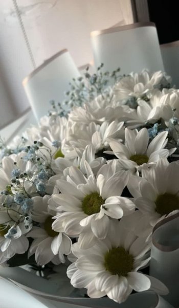  عکس های طبیعت