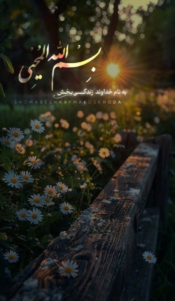  عکس های خدا