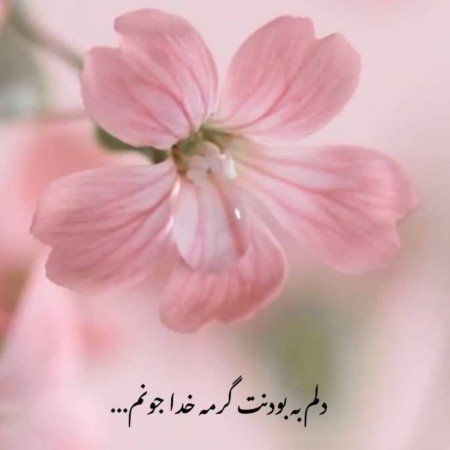  عکس های خدا