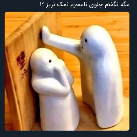  عکس های غذا