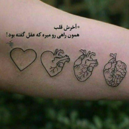  زیباترین عکس هنری