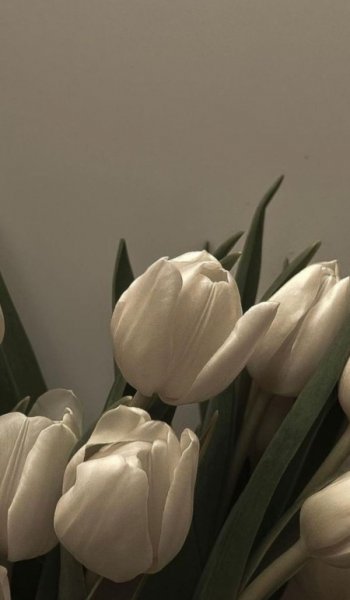  عکس های هنری و گرافیکی