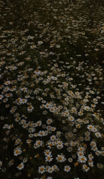  عکس های هنری و گرافیکی