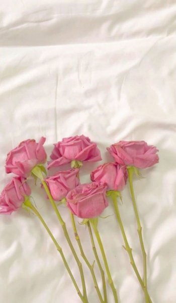  عکس های هنری و گرافیکی