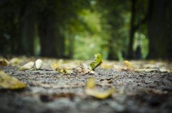  عکس هنری نقاشی برای پروفایل