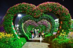  عکس هنری نقاشی برای پروفایل