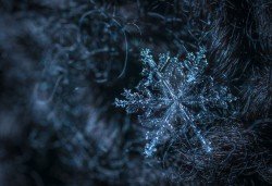  عکس هنری نقاشی برای پروفایل