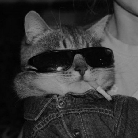  عکس گنگ برای پروفایل پسرانه
