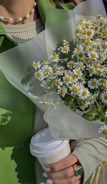  پروفایل پینترستی سبز