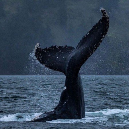  عکس دریا برای پروفایل
