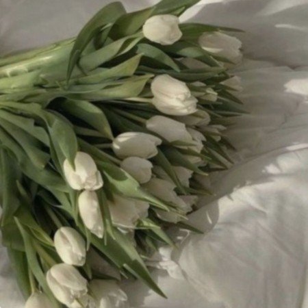  پروفایل سبز پاستیلی