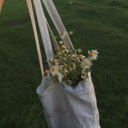  عکس سبز فانتزی