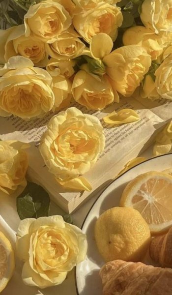  عکس دختر پینترست