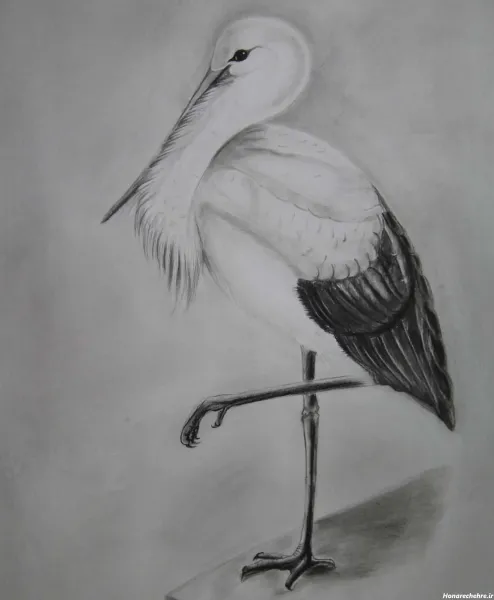  عکس نقاشی سیاه قلم ساده