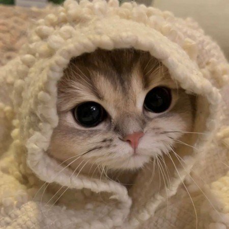  عکس های ترند اینستا