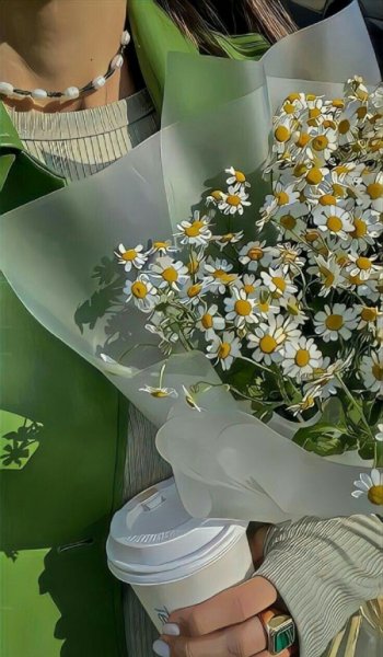  عکس های ترند برای پروفایل