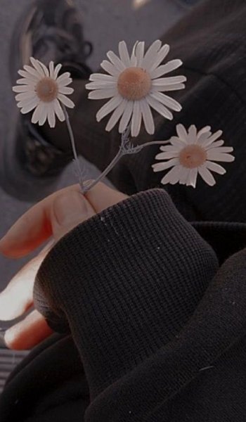  عکس های ترند شده