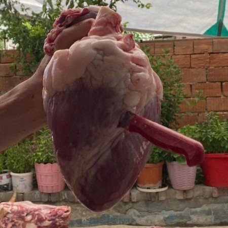  عکس های ترند شده