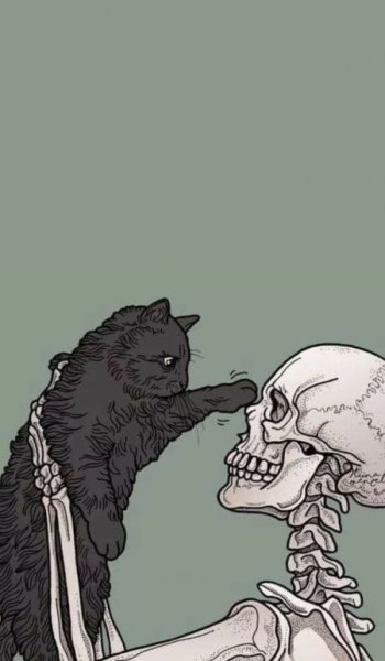  عکس اسکلت غمگین