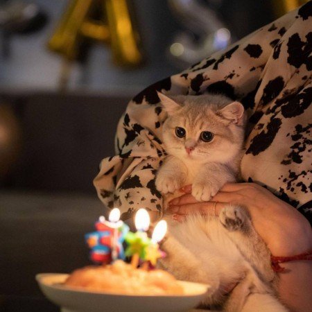  عکس های ترند برای تولد