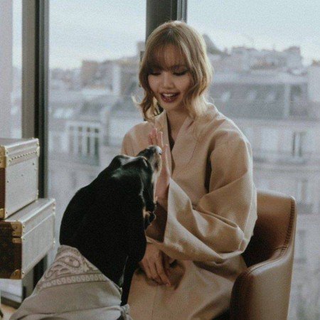  عکس بلک پینک در کنسرت
