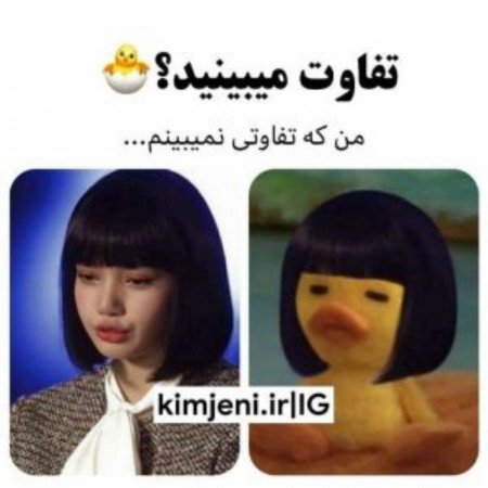  عکس بلک پینک در کنسرت