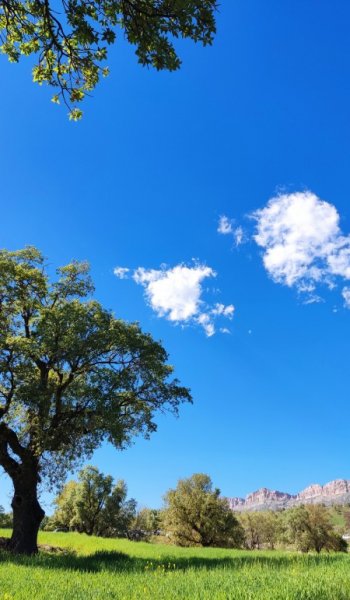  عکس تصویر زمینه زیبا روشن