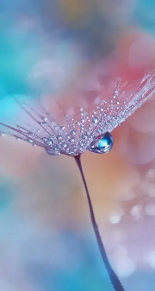 تصویر زمینه گوشی سامسونگ a13