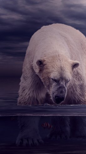  دانلود تصویر زمینه گوشی با کیفیت بالا