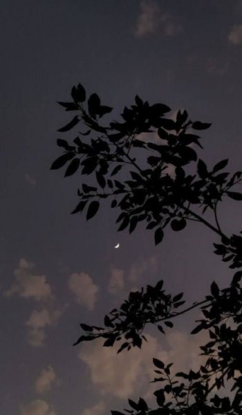  عکس های پس زمینه شب