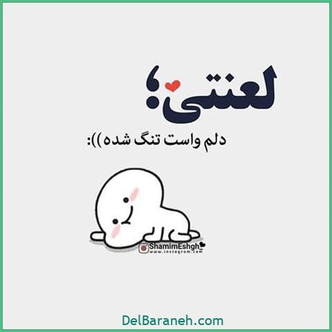 عکس اس ام اس دیوانه کننده