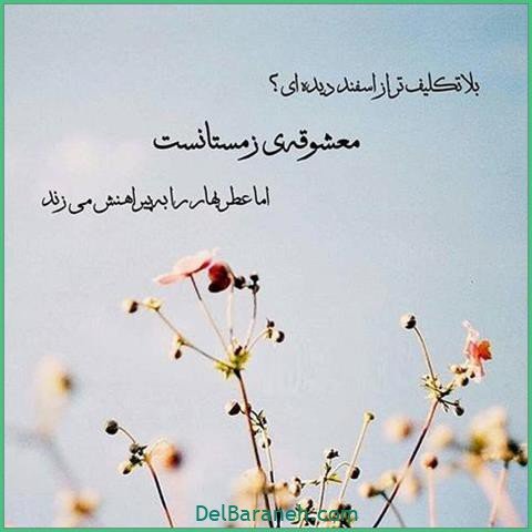 عکس اس ام اس دیوانه کننده